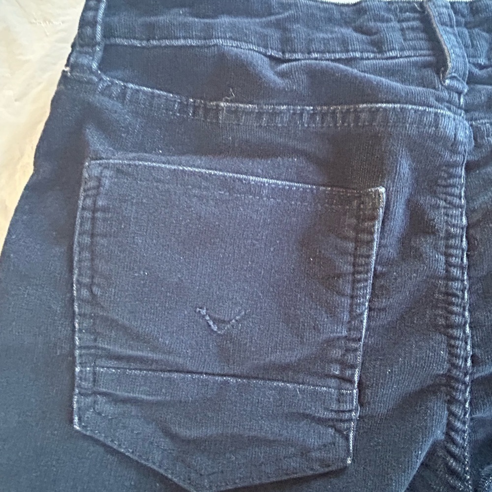Hudson Youth Size 14 Corduroy Pants - Picture 9 of 10